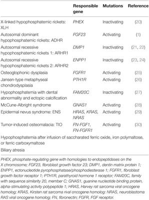 Targeting Fibroblast Growth Factor 23 Signaling with Antibodies and Inhibitors, Is There a Rationale?